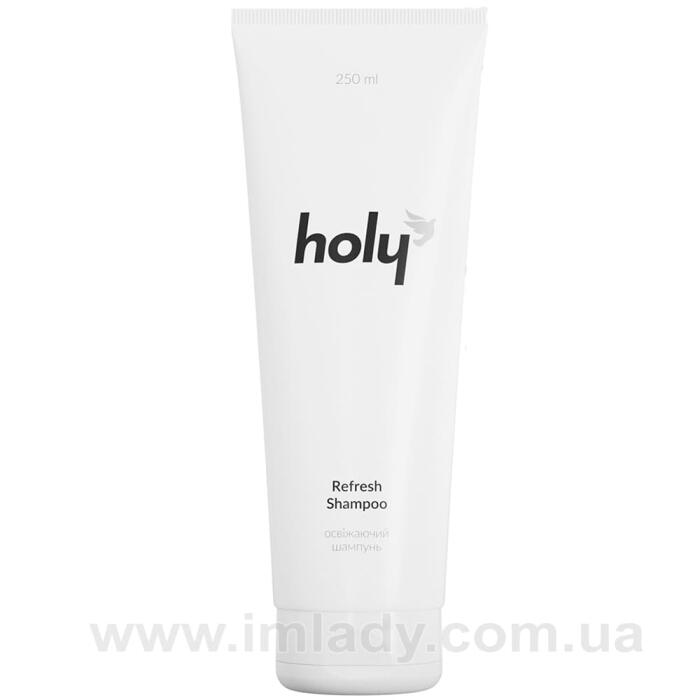 Зволожуючий шампунь Holy refresh shampoo 250 мл
